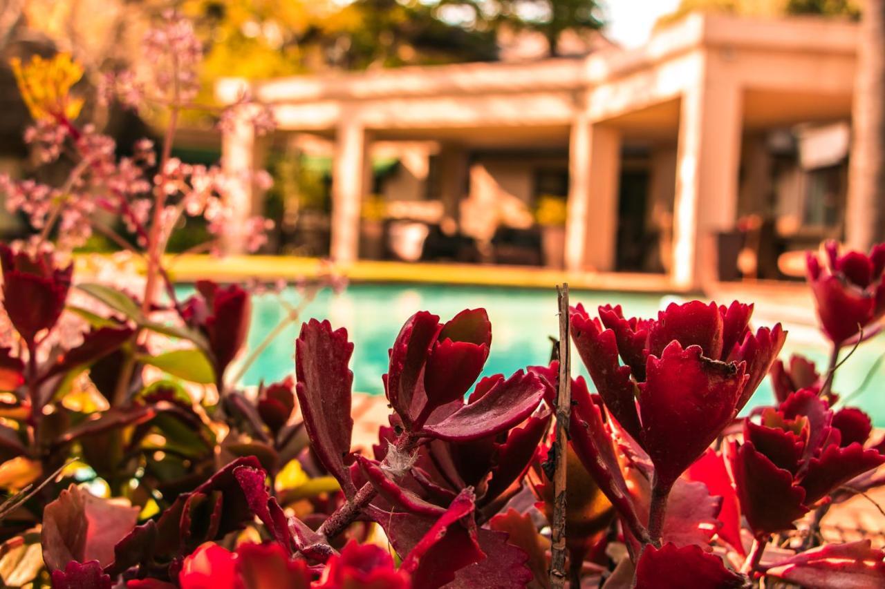 Lourie Lodge Sandton Luaran gambar